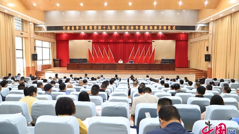 建造师培训报名代理公司，流程揭秘与注意事项